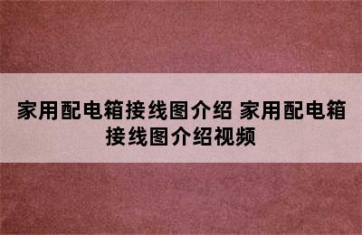 家用配电箱接线图介绍 家用配电箱接线图介绍视频